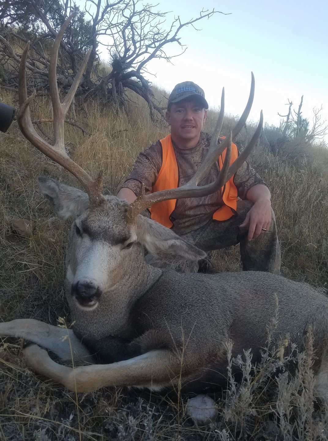 Hunting trophy